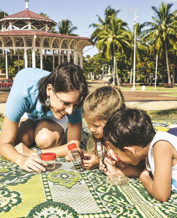 WMP in New Caledonia