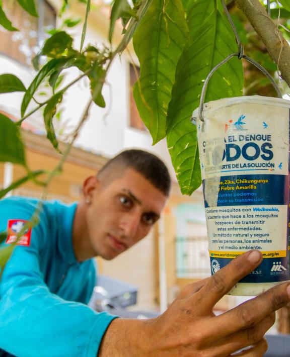 release-mosquito-wmp