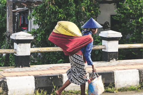 Indonesia's Nationwide Effort to Stop Dengue