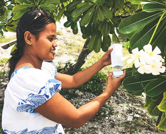WMP in Kiribati