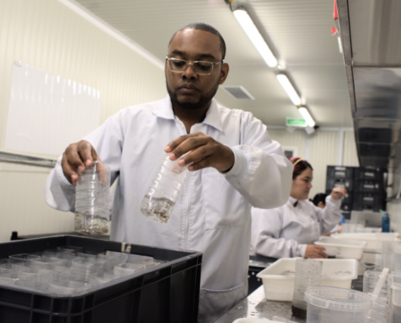 Innovation of WMP Method