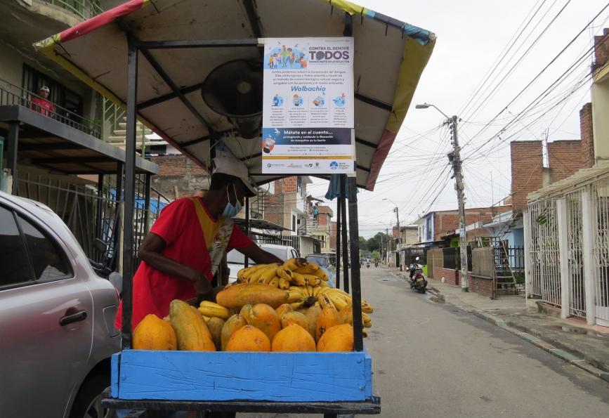 A fruit vendor next to a sign about Wolbachia in Cali, Colombia